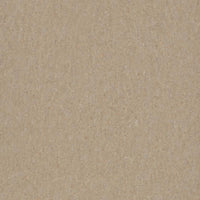 Forbo Marmoleum Marbled Terra Weathered Sand 5803 Linoleum
