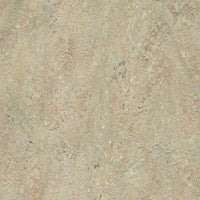 Forbo Marmoleum Marbled Vivace Agate 3427 Linoleum