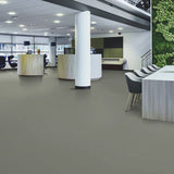 Forbo Marmoleum Solid Cocoa Chocolate Blues 3583 Linoleum - DCTUK
