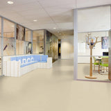 Forbo Marmoleum Solid Cocoa Chocolate Blues 3583 Linoleum - DCTUK