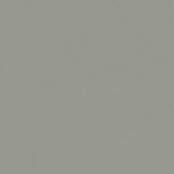 Forbo Marmoleum Solid Cocoa Eucalyptus 3588 Linoleum - DCTUK