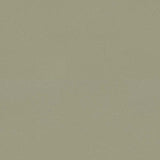 Forbo Marmoleum Solid Cocoa Matcha 3593 Linoleum - DCTUK