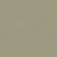 Forbo Marmoleum Solid Cocoa Matcha 3593 Linoleum