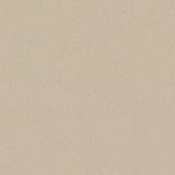 Forbo Marmoleum Solid Cocoa Meringue 3590 Linoleum - DCTUK