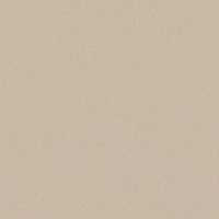 Forbo Marmoleum Solid Cocoa Meringue 3590 Linoleum