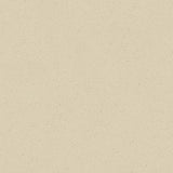Forbo Marmoleum Solid Cocoa White Chocolate 3584 Linoleum - DCTUK