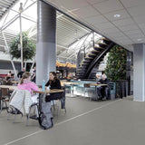 Forbo Marmoleum Solid Concrete Arctic 3749 Linoleum - DCTUK