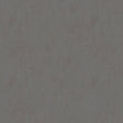 Forbo Marmoleum Solid Concrete Comet 3703 Linoleum - DCTUK