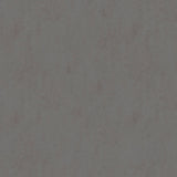 Forbo Marmoleum Solid Concrete Comet 3703 Linoleum - DCTUK