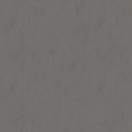 Forbo Marmoleum Solid Concrete Comet 3703 Linoleum - DCTUK