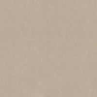 Forbo Marmoleum Solid Concrete Fossil 3708/370835 Linoleum