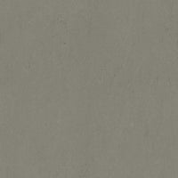 Forbo Marmoleum Solid Concrete Glacier 3755 Linoleum