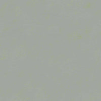 Forbo Marmoleum Solid Concrete Green Shimmer 3736 Linoleum