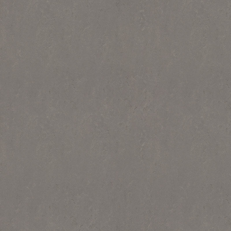 Forbo Marmoleum Solid Concrete Meteorite 3705/370535 Linoleum - DCTUK