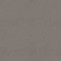 Forbo Marmoleum Solid Concrete Meteorite 3705/370535 Linoleum