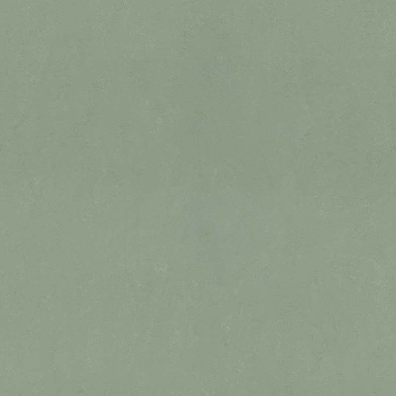 Forbo Marmoleum Solid Concrete Pine Forest 3750 Linoleum - DCTUK