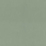 Forbo Marmoleum Solid Concrete Pine Forest 3750 Linoleum - DCTUK