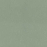Forbo Marmoleum Solid Concrete Pine Forest 3750 Linoleum