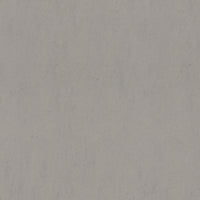 Forbo Marmoleum Solid Concrete Satellite 3704 Linoleum