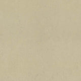 Forbo Marmoleum Solid Concrete Titan 3761 Linoleum - DCTUK