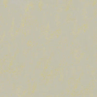Forbo Marmoleum Solid Concrete Yellow Shimmer 3733 Linoleum