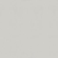 Forbo Marmoleum Solid Piano Frosty Grey 3629 Linoleum