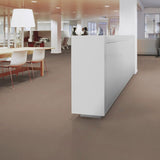 Forbo Marmoleum Solid Piano Meadow 3634 Linoleum - DCTUK