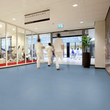 Forbo Marmoleum Solid Piano Meadow 3634 Linoleum - DCTUK