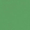 Forbo Marmoleum Solid Piano Nettle Green 3647 Linoleum - DCTUK