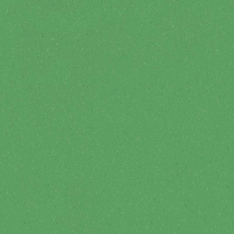 Forbo Marmoleum Solid Piano Nettle Green 3647 Linoleum - DCTUK