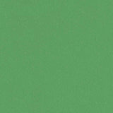 Forbo Marmoleum Solid Piano Nettle Green 3647 Linoleum - DCTUK