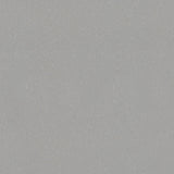 Forbo Marmoleum Solid Piano Warm Grey 3601 Linoleum - DCTUK