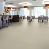Forbo Marmoleum Solid Walton Alloy 3367 Linoleum - DCTUK