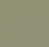 Forbo Marmoleum Solid Walton Rosemary Green 3355 Linoleum - DCTUK