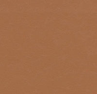 Forbo Marmoleum Solid Walton Terracotta 3370 Linoleum