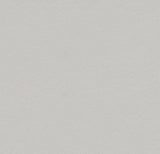 Forbo Marmoleum Solid Walton Titanium 3369 Linoleum - DCTUK