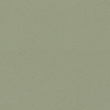 Forbo Safestep Aqua Sage 180742 Sheet Vinyl - DCTUK