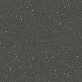 Forbo Safestep R11 Dragon 174282 Sheet Vinyl - DCTUK