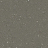 Forbo Safestep R11 Earth 174872 Sheet Vinyl - DCTUK