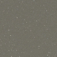 Forbo Safestep R11 Earth 174872 Sheet Vinyl
