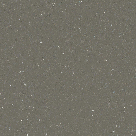 Forbo Safestep R11 Earth 174872 Sheet Vinyl - DCTUK