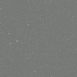 Forbo Safestep R11 Elephant 174952 Sheet Vinyl - DCTUK