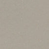 Forbo Safestep R11 Fossil 174232 Sheet Vinyl - DCTUK