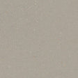 Forbo Safestep R11 Fossil 174232 Sheet Vinyl - DCTUK