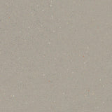 Forbo Safestep R11 Fossil 174232 Sheet Vinyl - DCTUK