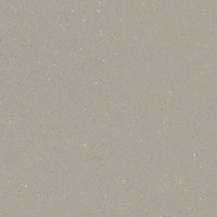 Forbo Safestep R11 Fossil 174232 Sheet Vinyl