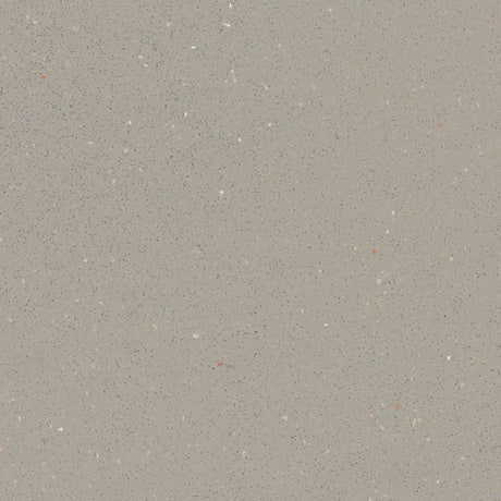 Forbo Safestep R11 Fossil 174232 Sheet Vinyl - DCTUK