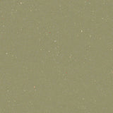 Forbo Safestep R11 Moss 174542 Sheet Vinyl - DCTUK