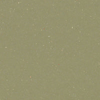 Forbo Safestep R11 Moss 174542 Sheet Vinyl