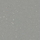 Forbo Safestep R11 Slate Grey 174752 Sheet Vinyl - DCTUK